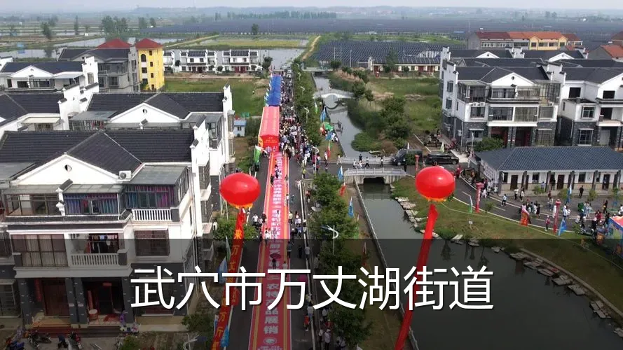 武穴市万丈湖街道